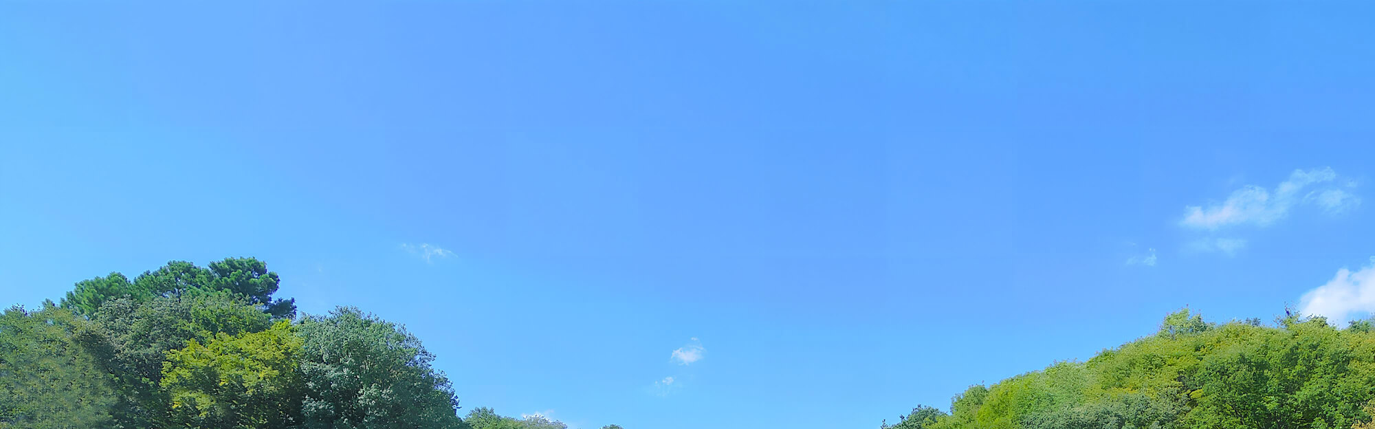 キービジュアルイメージ